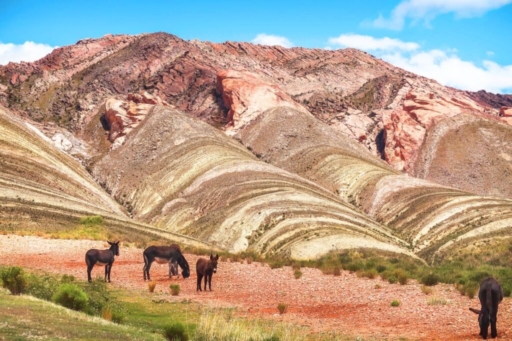 argentina