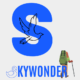 Skywonder.in